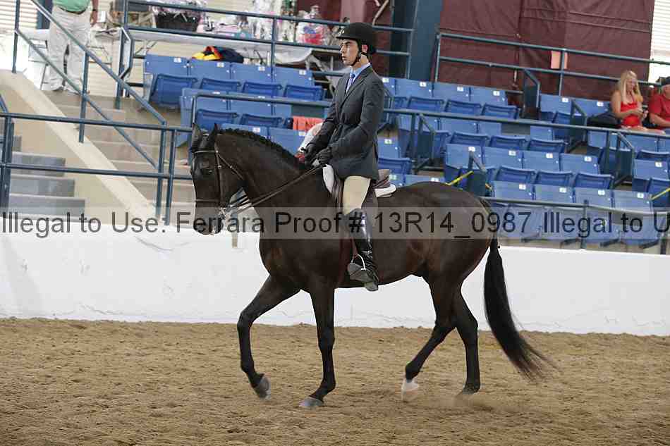 Proof 13r14_0987