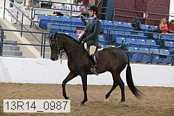 13r14_0987 proof