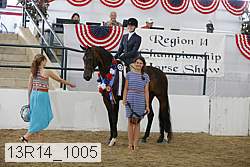 13r14_1005 proof