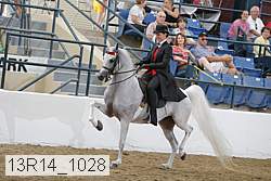 13r14_1028 proof