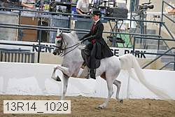 13r14_1029 proof