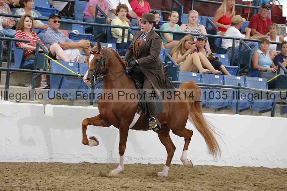Proof 13r14_1035