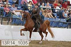 13r14_1035 proof