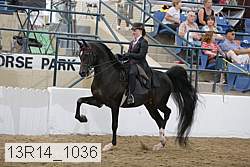 13r14_1036 proof