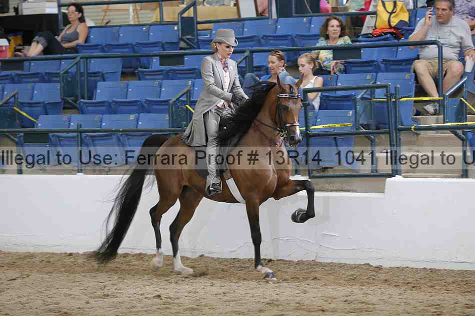 Proof 13r14_1041