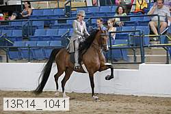 13r14_1041 proof