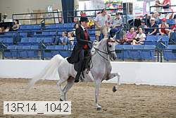 13r14_1042 proof