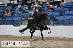 13r14_1043 proof