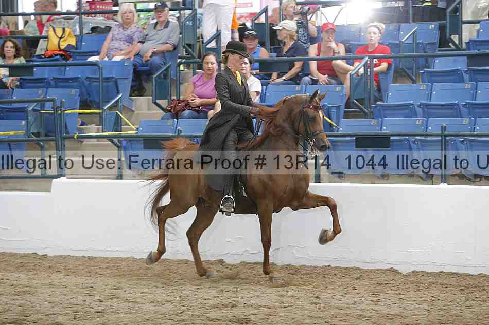 Proof 13r14_1044