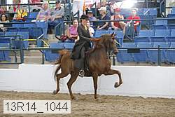 13r14_1044 proof