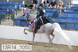 13r14_1050 proof