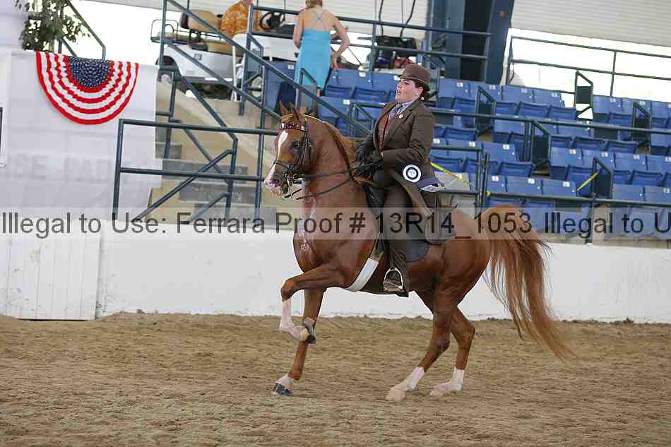 Proof 13r14_1053