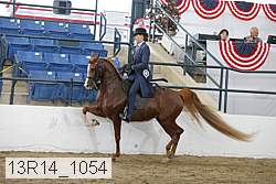 13r14_1054 proof