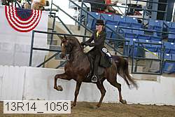 13r14_1056 proof