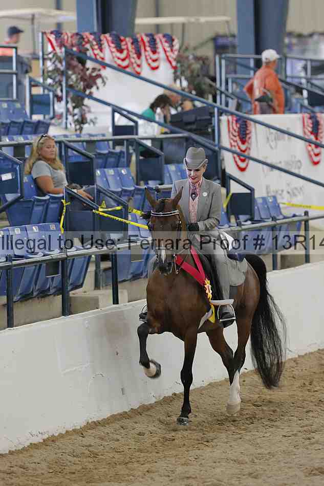 Proof 13r14_1063