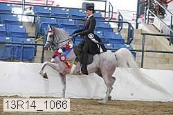 13r14_1066 proof