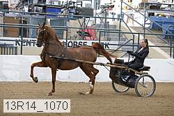 13r14_1070 proof