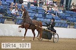 13r14_1071 proof