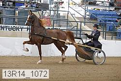 13r14_1072 proof