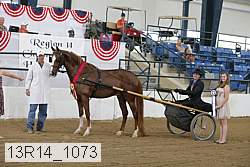 13r14_1073 proof