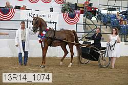 13r14_1074 proof