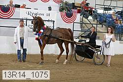 13r14_1075 proof