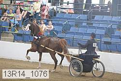 13r14_1076 proof