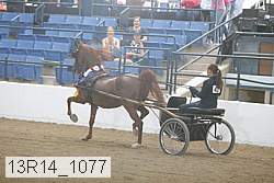 13r14_1077 proof