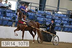 13r14_1078 proof
