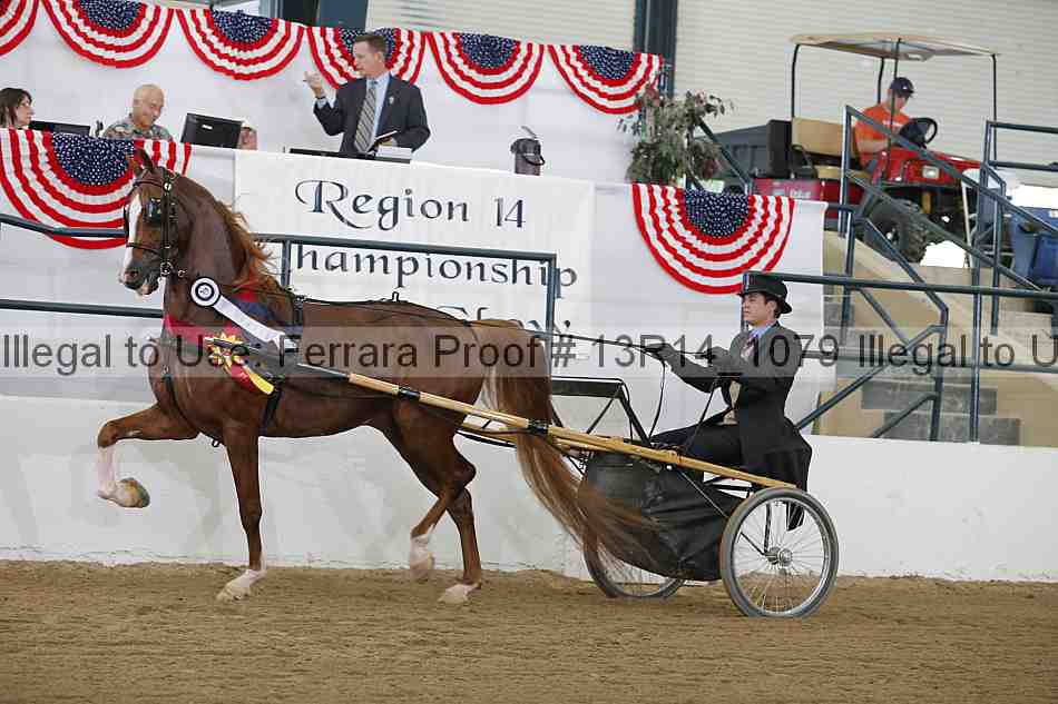 Proof 13r14_1079
