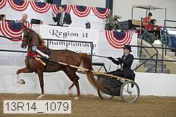 13r14_1079 proof
