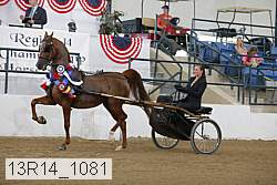 13r14_1081 proof