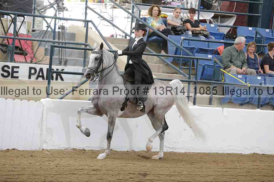 Proof 13r14_1085