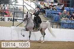 13r14_1085 proof