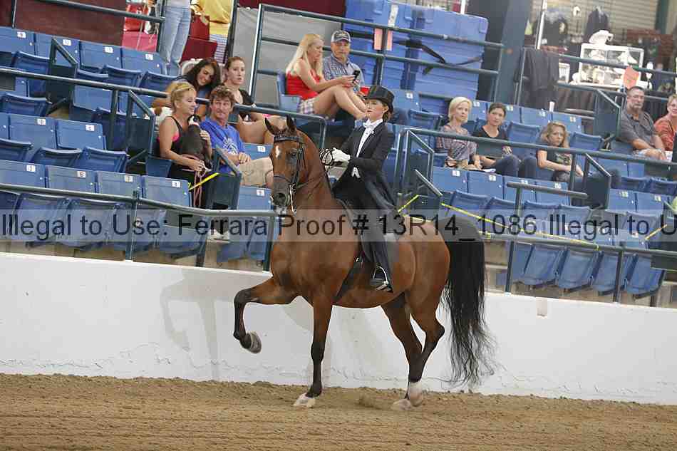 Proof 13r14_1086