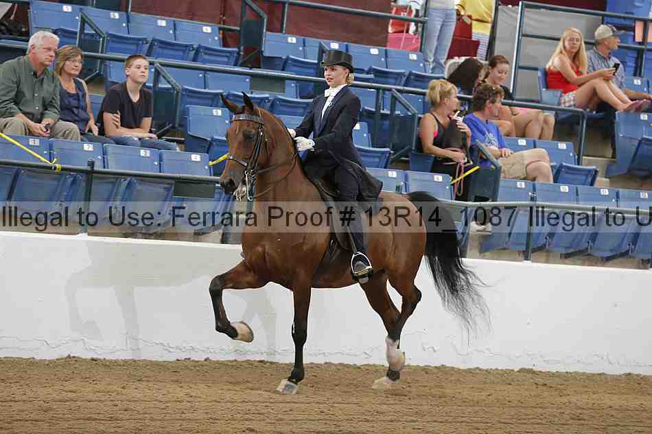 Proof 13r14_1087