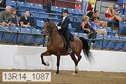 13r14_1087 proof
