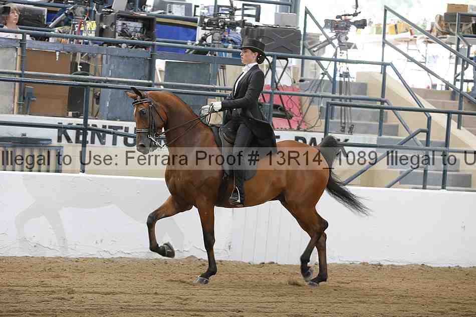 Proof 13r14_1089