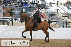 13r14_1089 proof