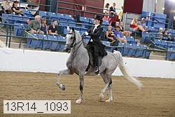 13r14_1093 proof