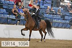 13r14_1094 proof