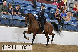 13r14_1096 proof