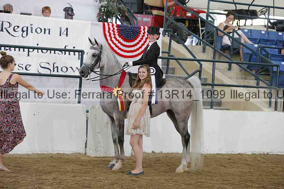 Proof 13r14_1099