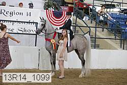 13r14_1099 proof