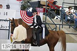 13r14_1105 proof