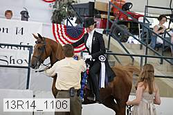 13r14_1106 proof