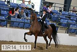 13r14_1111 proof