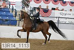 13r14_1113 proof