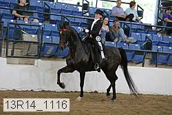 13r14_1116 proof