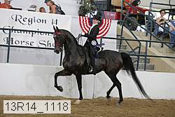 13r14_1118 proof